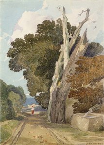 Eine spanische Kastanie vom Blitz getroffen von John Sell Cotman