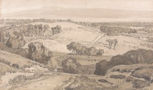 Holt Heath, nahe Norwich
