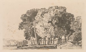Liber Studiorum: Platte 3, Bäume bei Twickenham, 1838