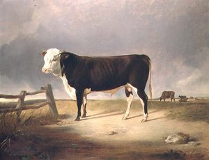 Der Kanzler von John Sheriff