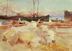 Ochsen am Strand von Baia, ca. 1908 (Aquarell auf Papier) von John Singer Sargent