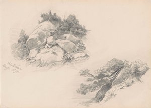 Felsen und Gebüsch, Hintersee, Deutschland, 1871 von John Singer Sargent