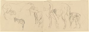 Studien zum Beschlagen von Kavalleriepferden an der Front [recto], 1918