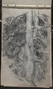Studie eines Baumes, 1871-72 von John Singer Sargent