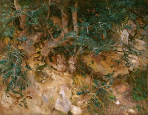 Valdemosa, Mallorca: Disteln und Kräuter an einem Hang von John Singer Sargent