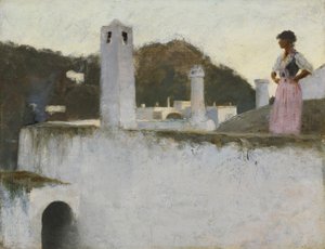 Blick auf Capri