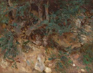 Wurzeln eines wilden Olivenbaums, Valldemosa, Mallorca von John Singer Sargent