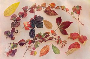 Herbstfarben