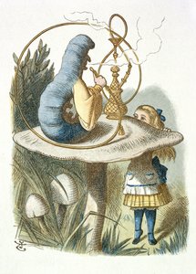 Alice trifft die blaue Raupe