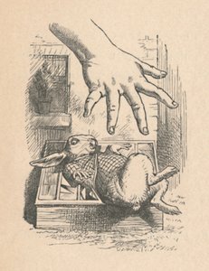 Alice streckt ihre Hand zum Weißen Kaninchen aus, 1889 von John Tenniel