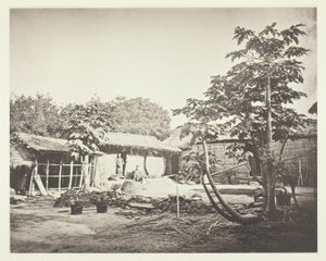 Eine Pepohoan-Wohnung