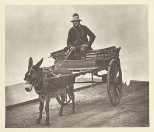 Black Jack, 1881