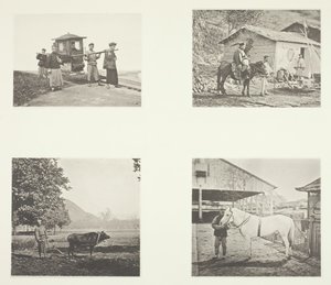 Die Sänfte, Ein Militärbeamter, Der Pflug, Ein Nordchinesisches Pony, um 1868 von John Thomson