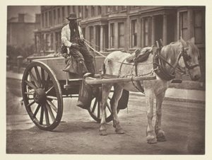Der Wasserwagen