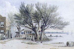 Gebäude und beschnittene Bäume am Ufer der Themse, Millbank