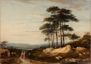 Landschaft