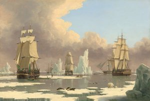 Die Nordwalfischerei: Der Schwan und Isabella, ca. 1840 von John Ward I