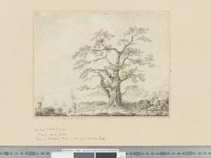 Ansicht am Meeresufer, großer Baum in der Mitte