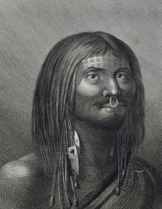 Polynesischer Mann aus Nootka Sound, Illustration von John Webber (1752-1793) während der dritten Reise (1776-1779) von James Cook (1728-1779)