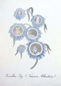 Reisefreude (Nausica Atlantica.), Illustration aus 