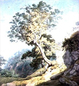Blick in der Nähe von Canonteign, Devon
