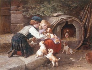 Mit den Welpen spielen