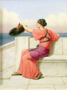 Eine klassische Schönheit am Meer