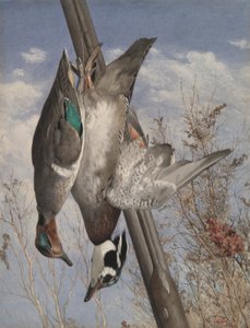 Hängende Wildvögel