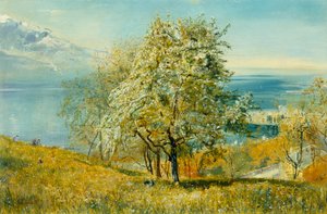 Ein Alpensee