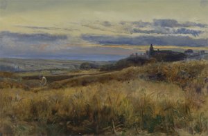 Kornfeld bei Sonnenuntergang