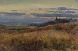 Kornfeld bei Sonnenuntergang