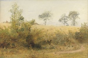 Die Fledermaus beginnt mit schwindelndem Flügel - Gerstenfeld über der Hecke, 1885 von John William North