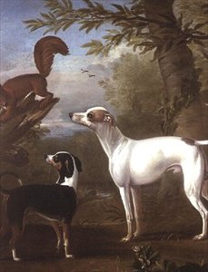 Zwei Jagdhunde, die von einem Eichhörnchen auf einem Baumstumpf angezogen werden