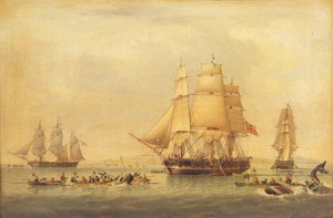 Walfänger der Südsee-Fischerei von John of Hull Ward