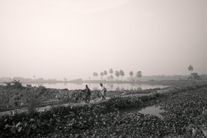 Fischerei im Feuchtgebiet in Kolkata, 2016