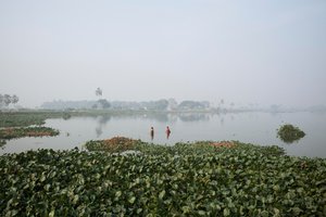 Fischen im Feuchtgebiet in Kolkata, 2016 von Jon Nicholson