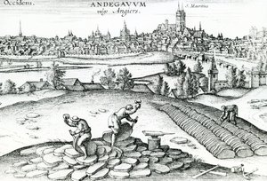 Schieferbruch in Angers, 1561 von Joris Hoefnagel
