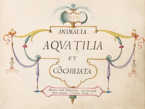 Titelseite von Joris Hoefnagel