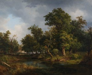 Waldlandschaft