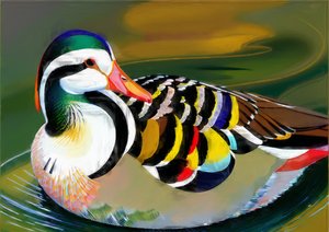 Tiere: Mandarinente 3