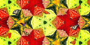 Kreaturen: Schmetterlinge im Rosengarten