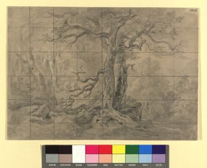 Waldlandschaft von Josef Kriehuber