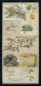 Studien nach der Natur von Josef Wawra