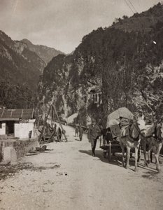 Album "Meine Weltkriegs-Erinnerungen Südwestfront (Kärnten, Italien, Südtirol) 31/03/1915-12/11/1918 - Josef Zohles Wien": Militärwagen (s/w Foto) von Josef Zohles