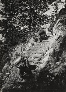 Album "Meine weltkriegs - Erinnerungen Südwestfront (Kärnten, Italien, Südtirol) 31/03/1915-12/11/1918 - Josef Zohles Wien": Armeemaultiere an einem steilen Abhang von Josef Zohles