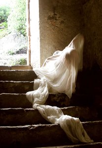Hommage an das Licht