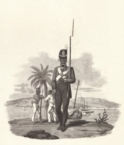 Ein Soldat des 5. Westindischen Regiments, um 1812 von Joseph Constantine Stadler