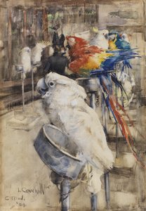 Die Voliere, Clifton