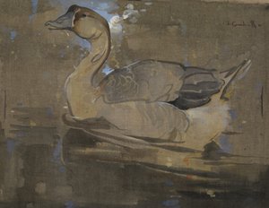 Die Chinesische Gans