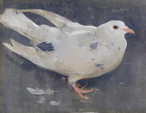 Die Taube von Joseph Crawhall